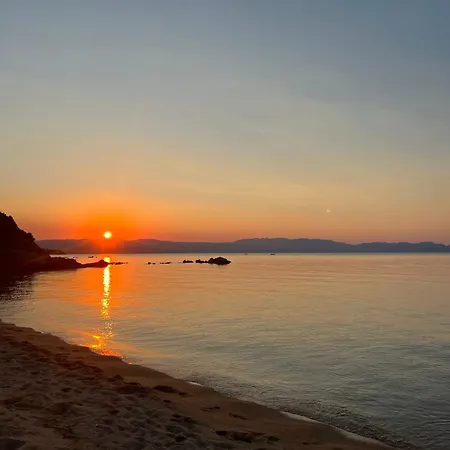 Despoina Meletiadou * Nea Roda